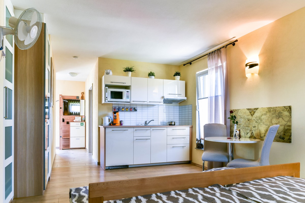 Erfolgreiche Airbnb-Immobilie: Eulennest 1 Zi. Apartment-Studio at Europa-Park in Rust