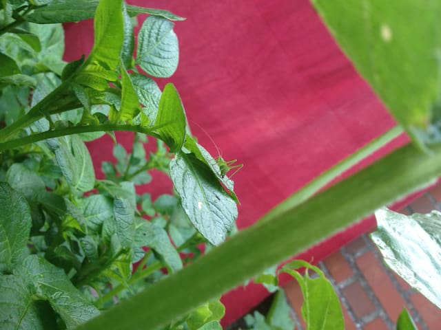 ein platz für schöne träume und entspanntes sein