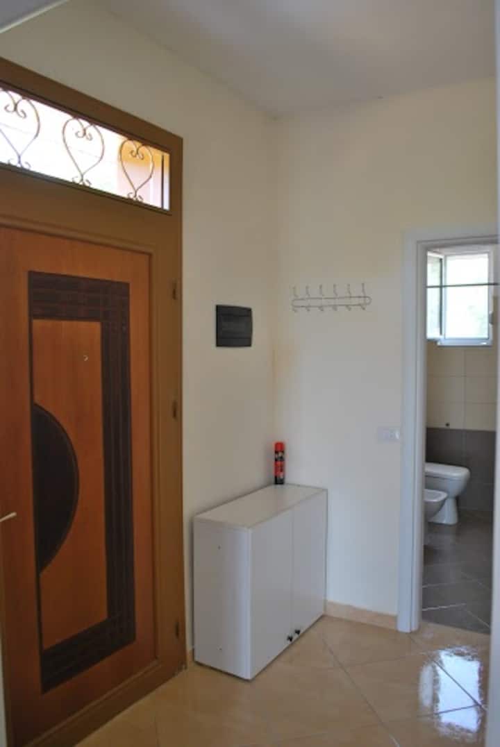 Comfortable apartment near the sea1
