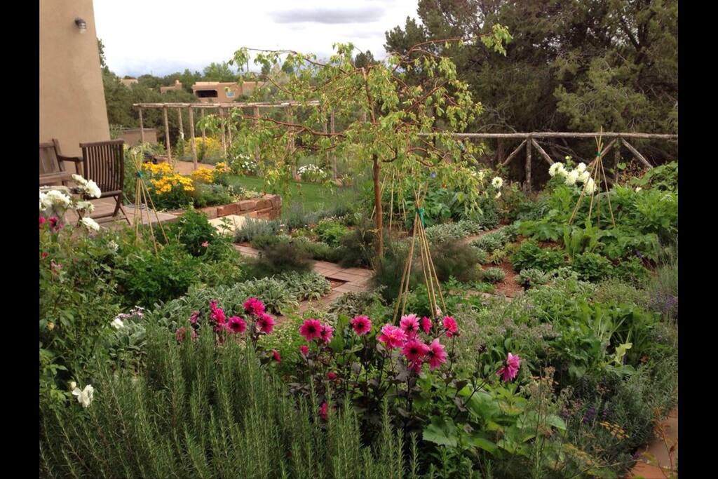 Main house garden
