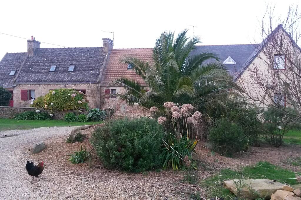 Jardin