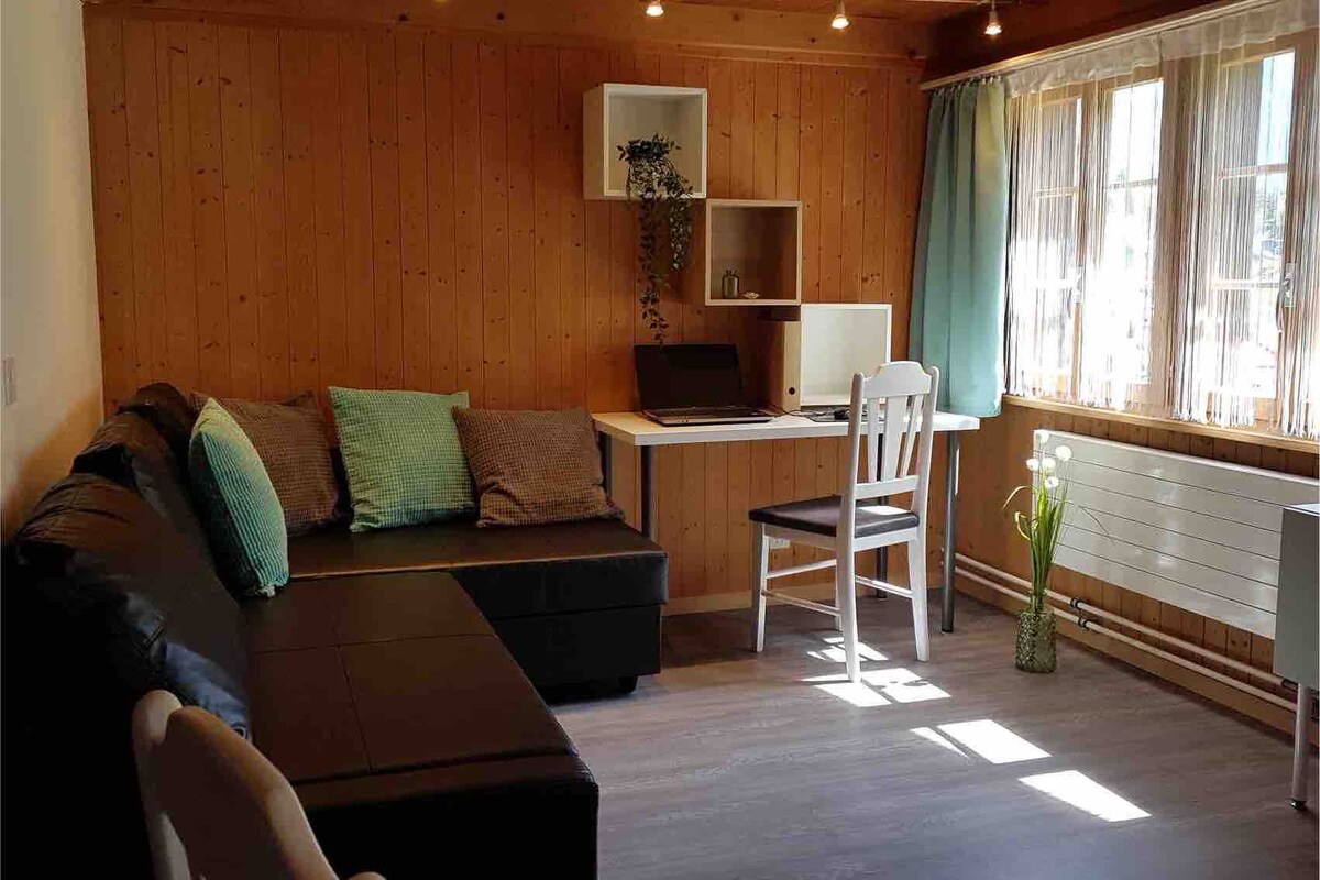 Popular Airbnb listing: Cozy studio overlooking the Jungfrau in Lauterbrunnen