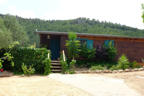 Gemütliches Holzhaus inmitten von Olivenbäumen.