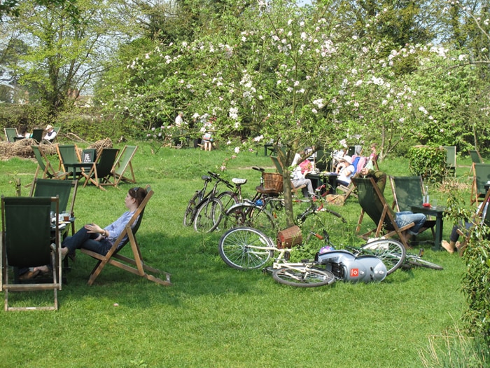 A spacious outdoor area features green grass dotted with wooden lounge chairs and tables. Bicycles are parked nearby, and blossoming trees provide shade. Guests are seen relaxing and enjoying refreshments, contributing to a casual and inviting atmosphere.