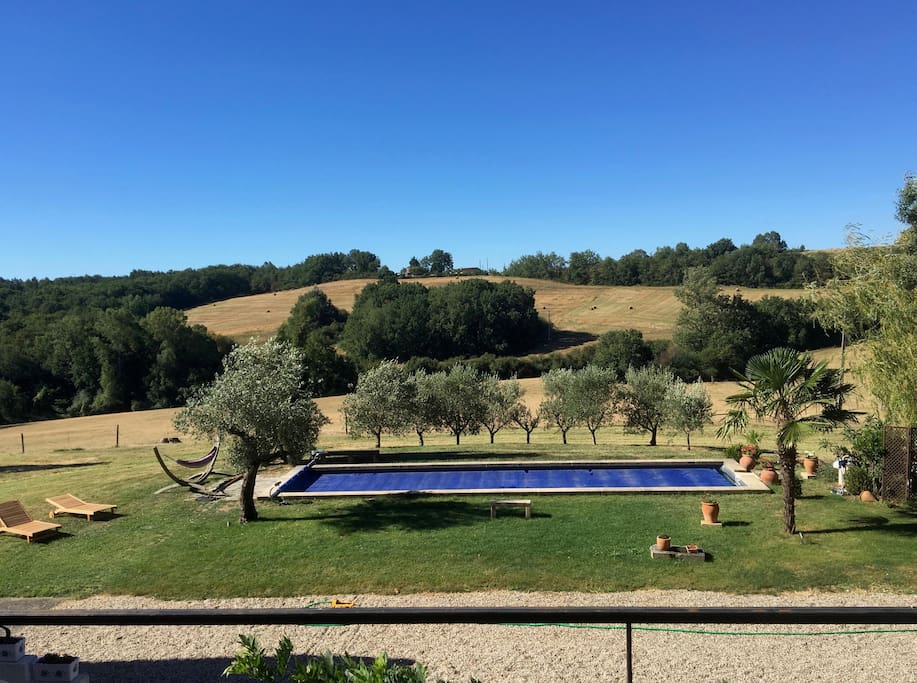Vue de la terrasse
Piscine au milieu des oliviers et de la nature