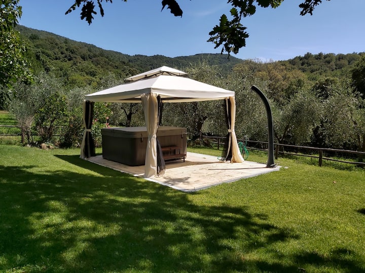 house in the woods with jacuzzi