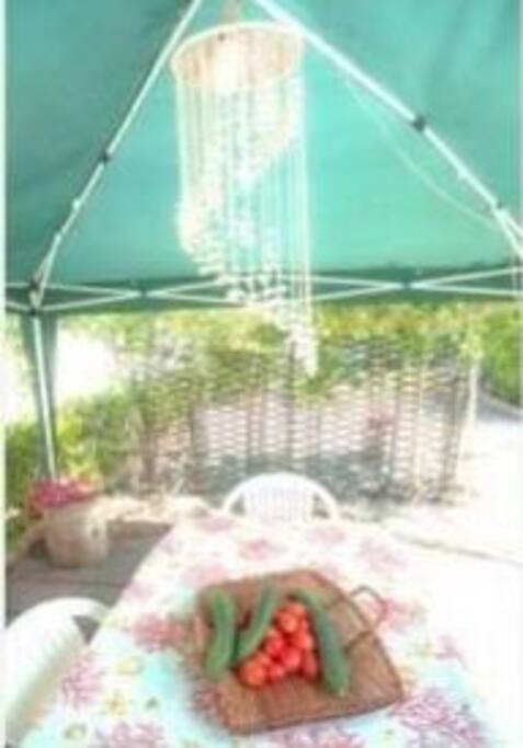 Small gazebo outside the house