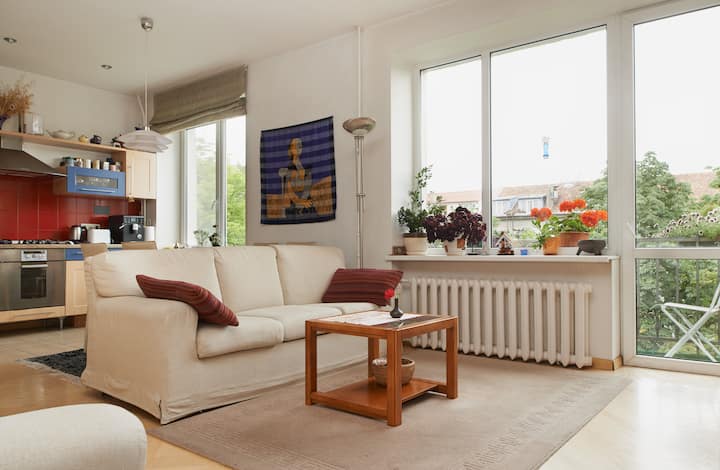 Central Luxury Apartment  & Parking - Vilnius