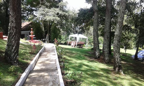 Bosque Macadamia - Paradise to Relax