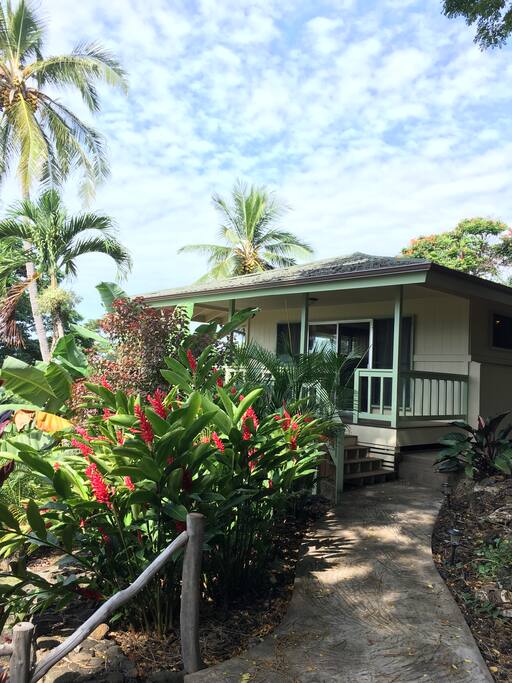 Pathway leading to Ohana guesthouse