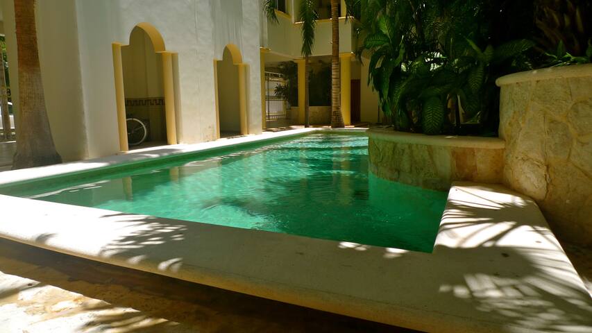 HEART OF PLAYA - Spacious Condo close to the beach