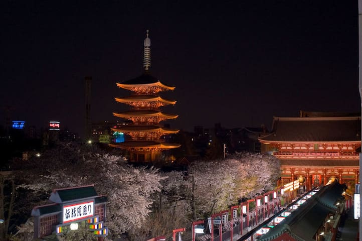 Airport pick-up&drop off service Asakusa New house