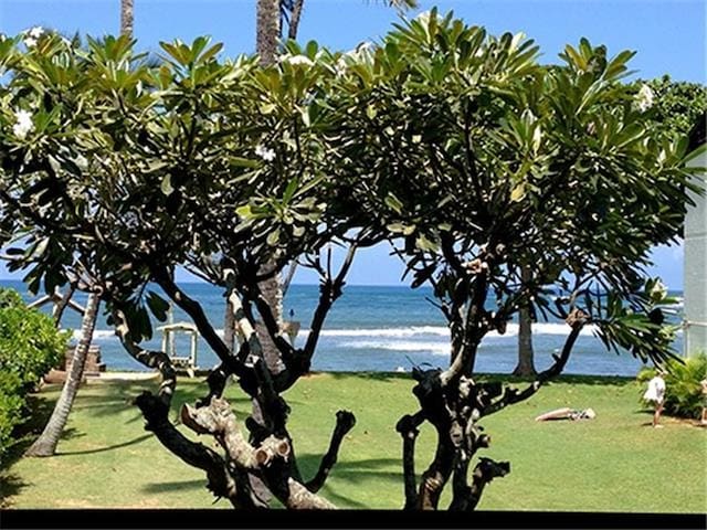 Beach Front Apartment