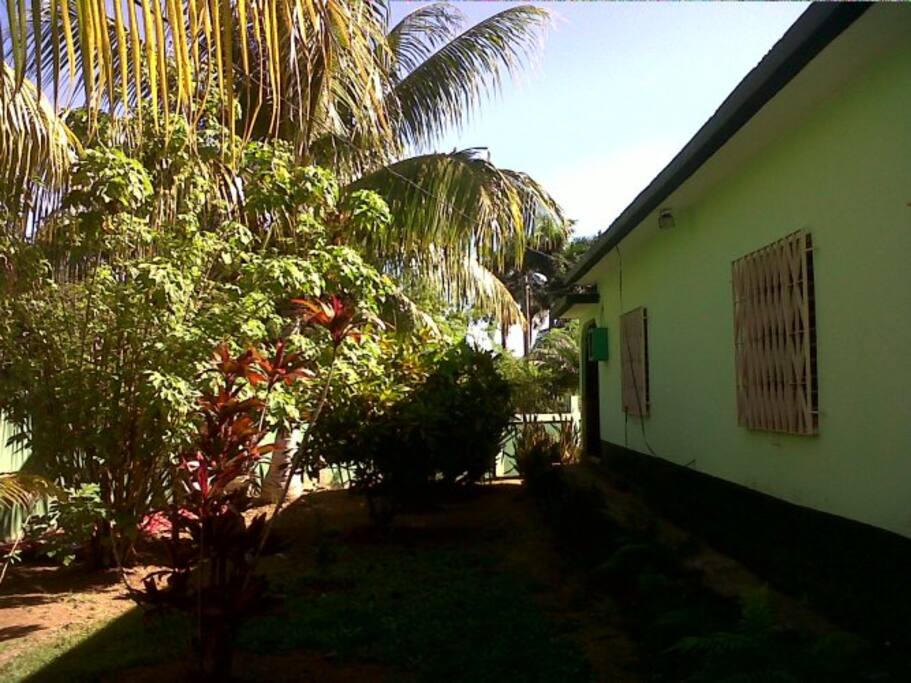 Outside View