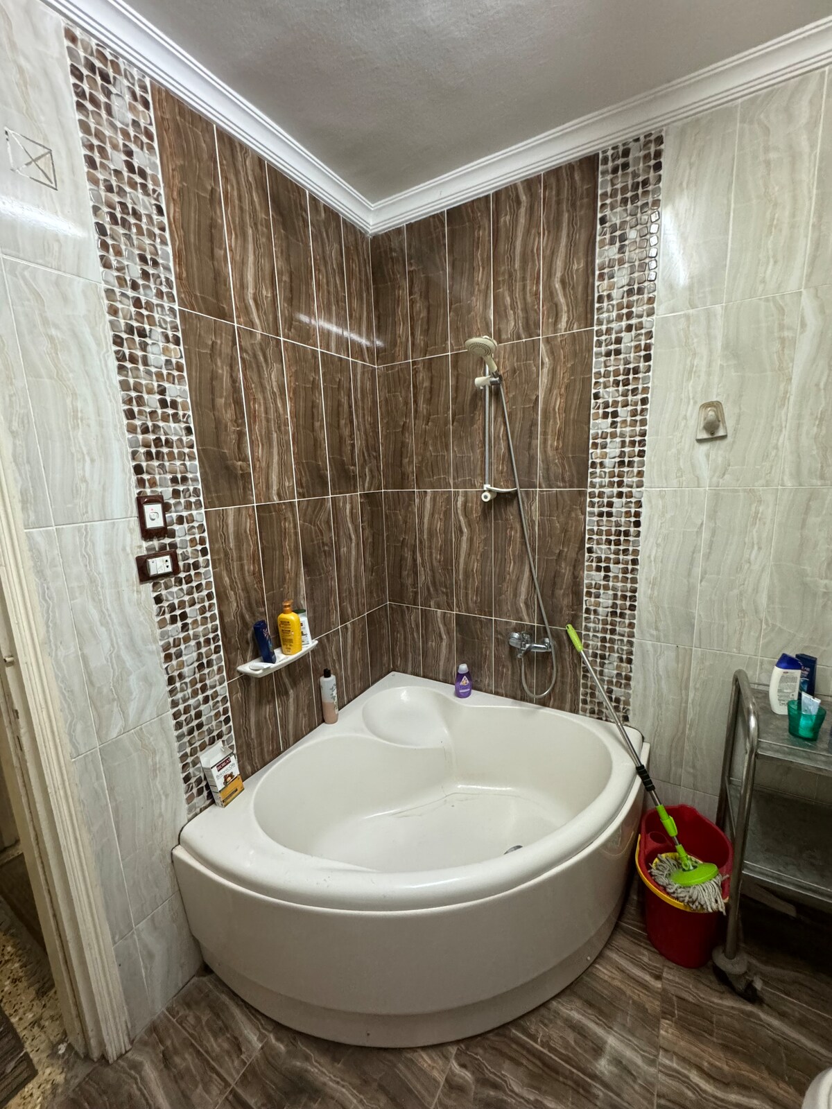 A compact bathroom features a white, rounded bathtub set against brown, patterned tiles. Shower fixtures are attached to the wall above the tub. Shelves and a small cart hold various toiletries, while a red container adds a pop of color to the space.