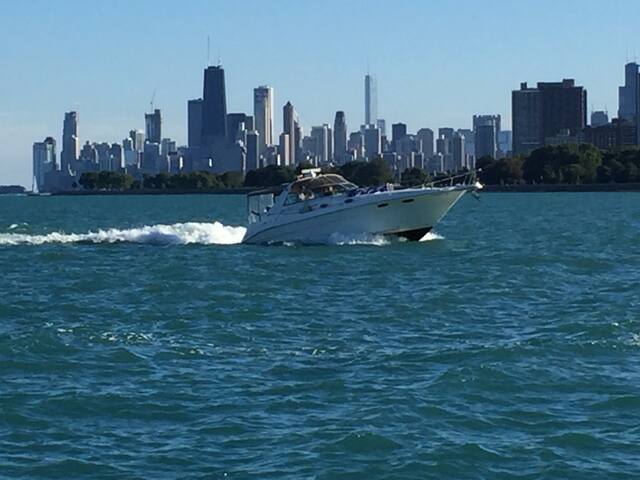 BuckTown/WickerPark House with yard & garage. gallery image 2