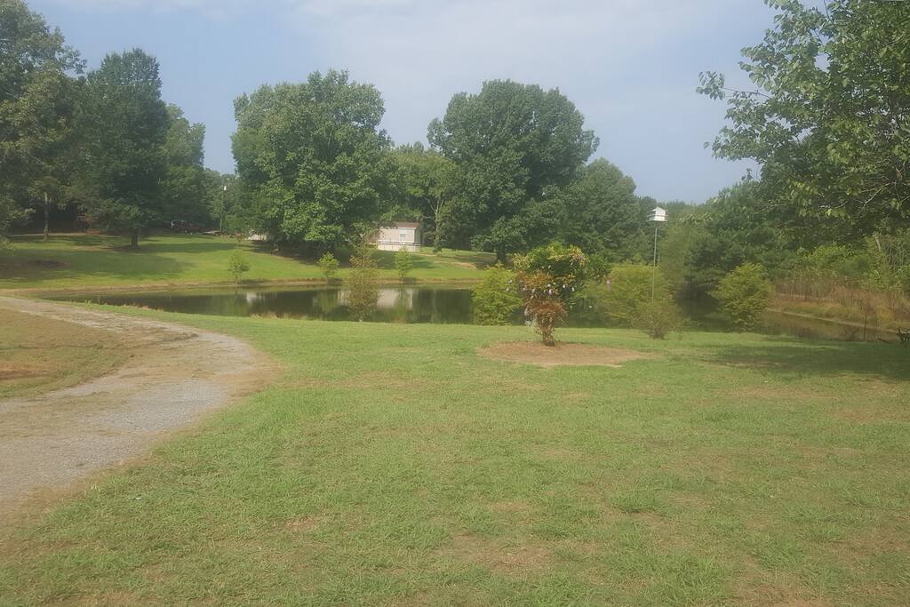 1.5 acre stocked private pond great for fishing and swimming.
Has made a beautiful backdrop for a few weddings. Also great for waterdogs.