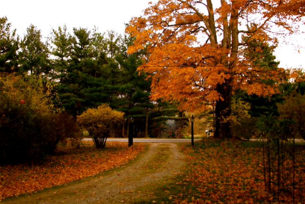 White House in Glenn, Michigan Houses for Rent in South Haven