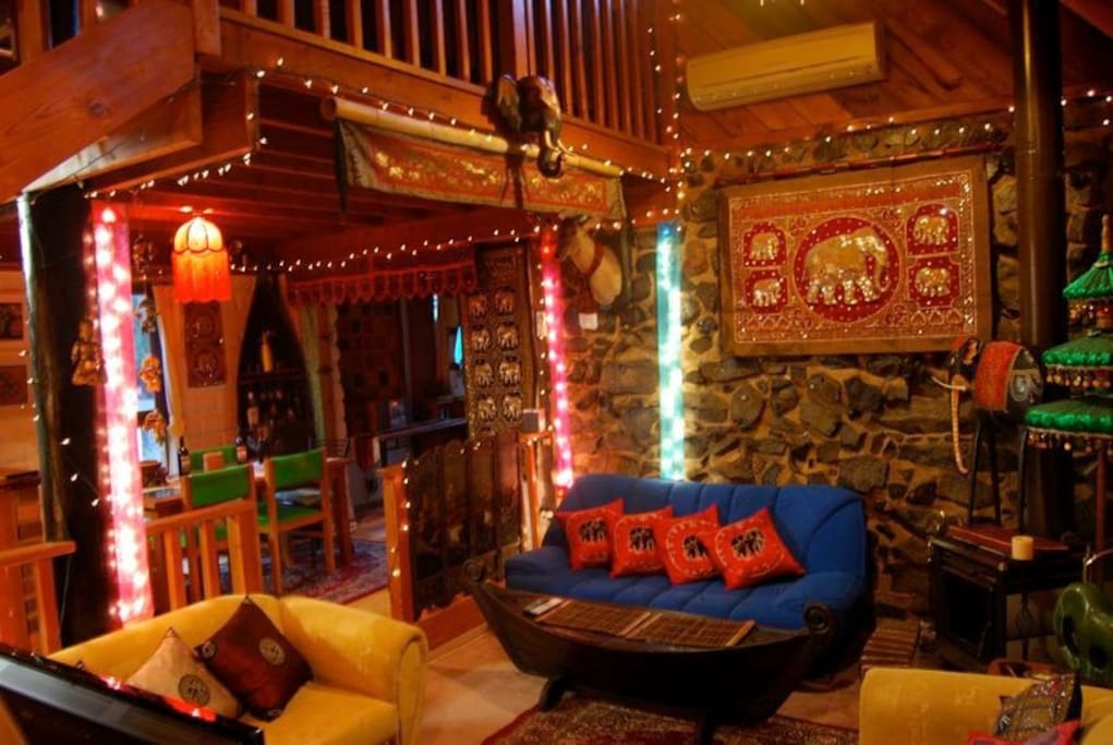 cosy lounge with blue stone wall , fire and elephants of course