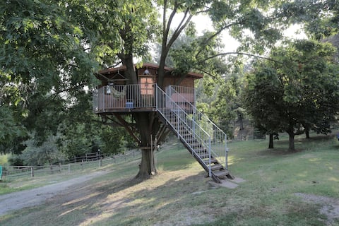 Ciabot Rosso Tree House