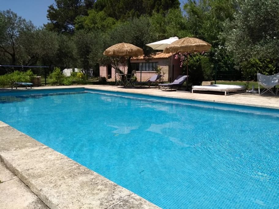 La piscine est doté de plusieurs bains de soleil, parasols et est clôturée pour plus de sécurité.
Un barbecue est mis à disposition des vacanciers ainsi qu'une table de pin-pong.