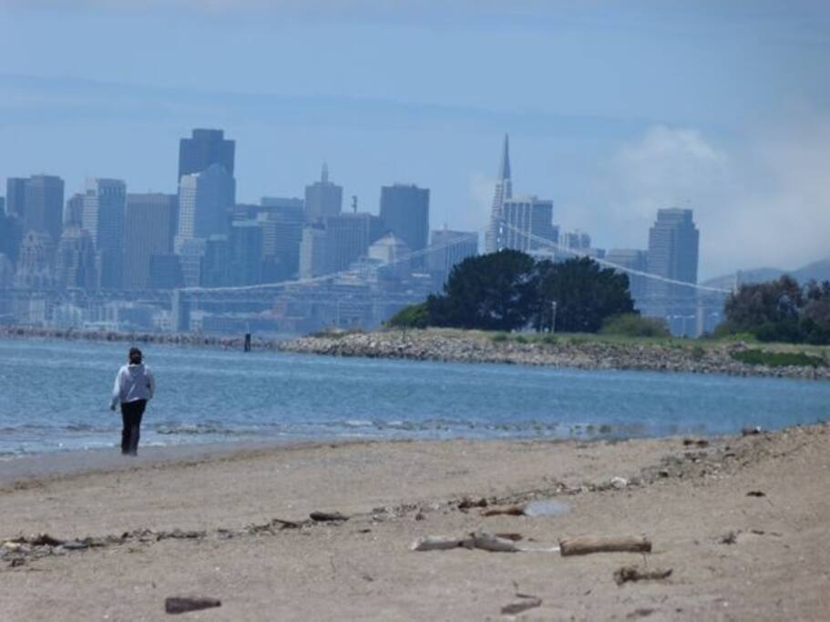 Crab Cove Park, a ten minute walk