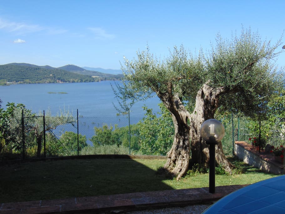 View of the lake from private garden