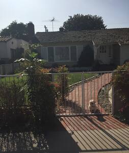 The Orange Estates cute house