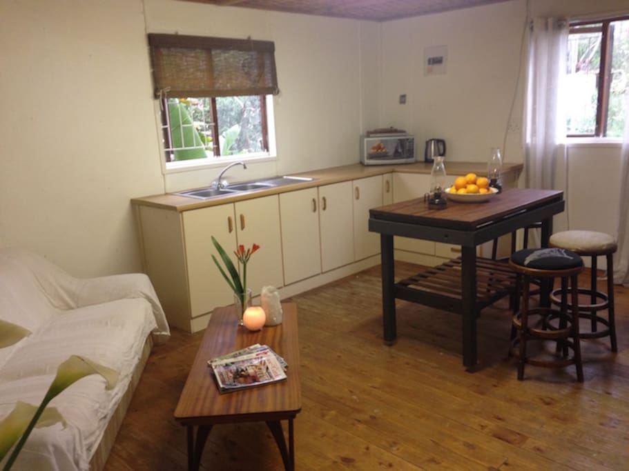 Open lounge and galley kitchen