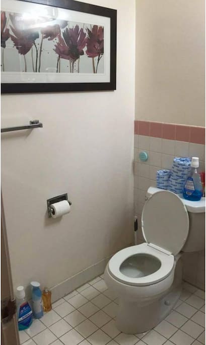 The restroom with toilet papers.