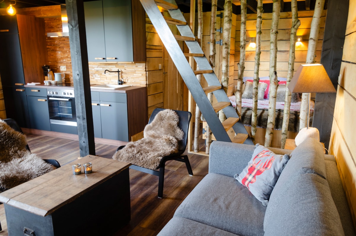 An inviting interior showcases a wooden framework with soft, textured furnishings. A gray couch is positioned near a rustic coffee table, while two sleek chairs enhance the cozy seating area. A kitchenette features modern cabinets and appliances, with stairs leading to a lofted sleeping area.