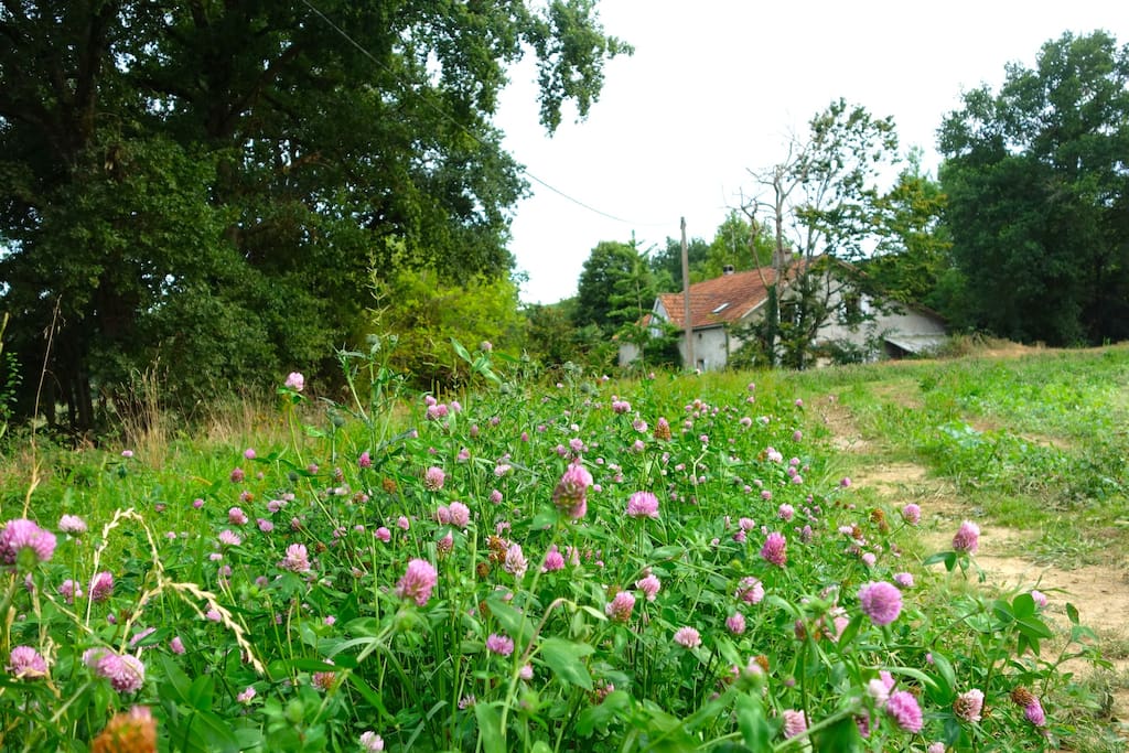 la maison