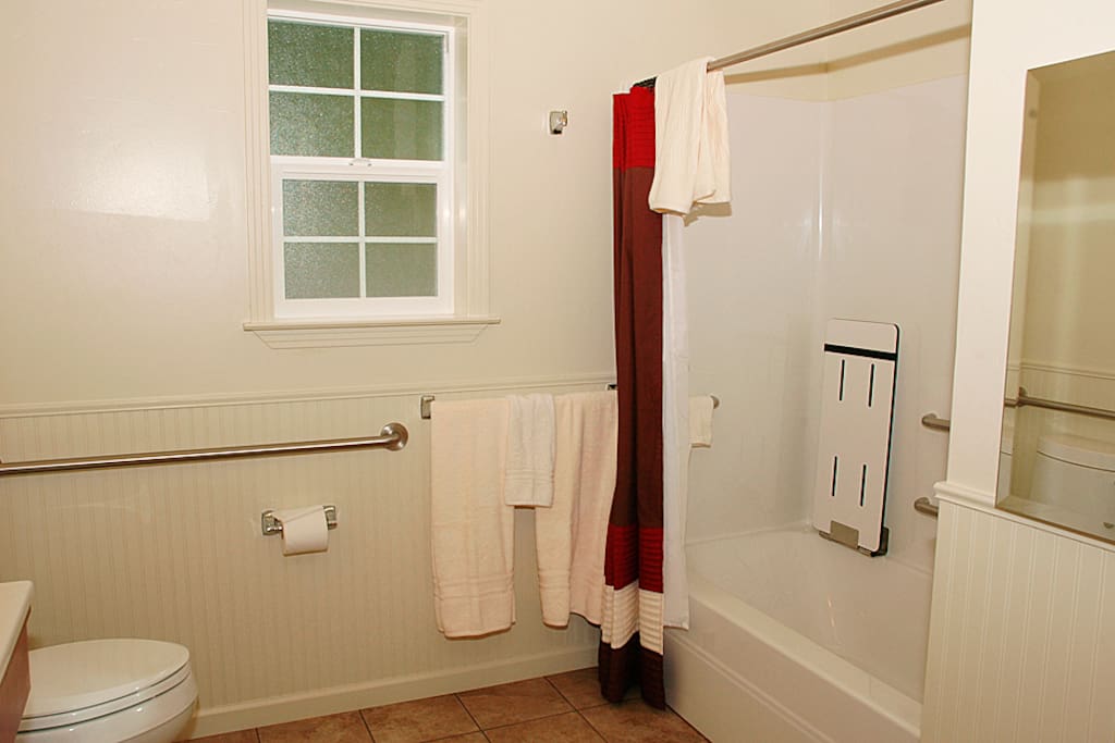 There are handles and a bench seat in the shower/tub.
(Not a roll in shower)