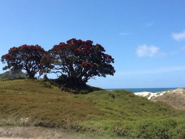 Sandhills Beach Hut