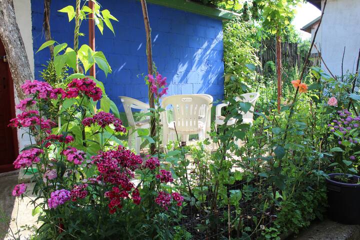 Magical Garden Apartment with a Local Vibe! :)