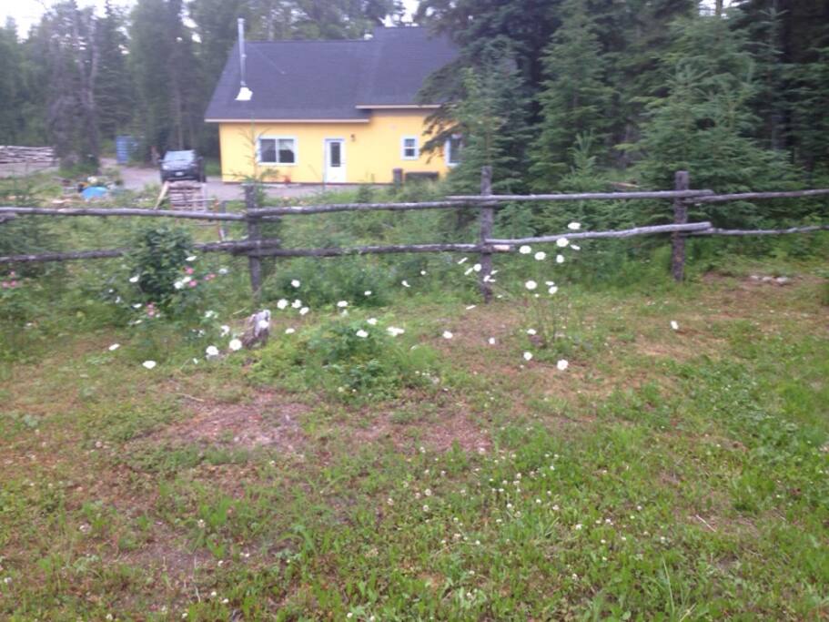 Pastoral vacation setting