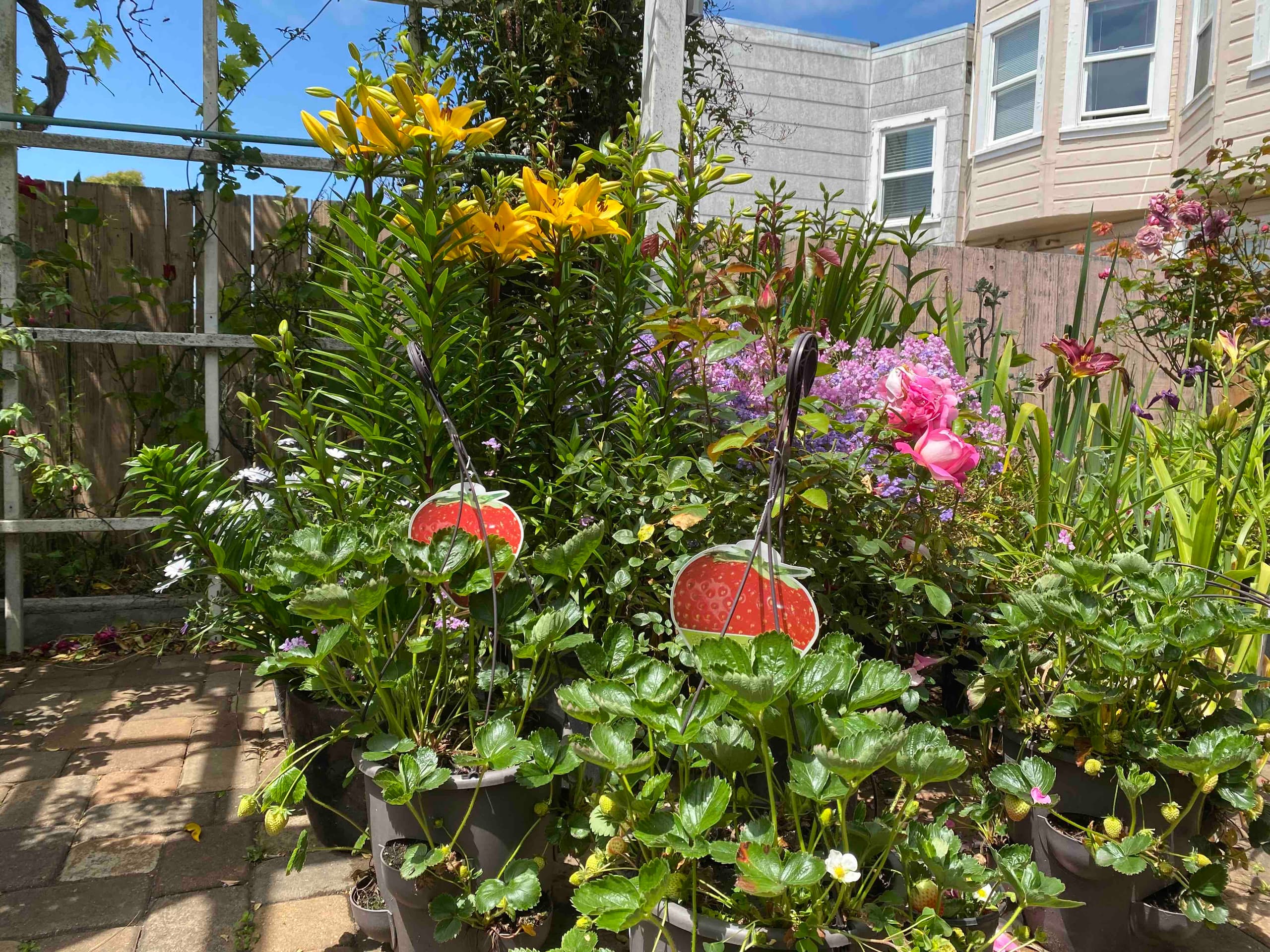 Home in San Francisco · ★4.85 · 2 bedrooms · 3 beds · 2 baths - Image 25