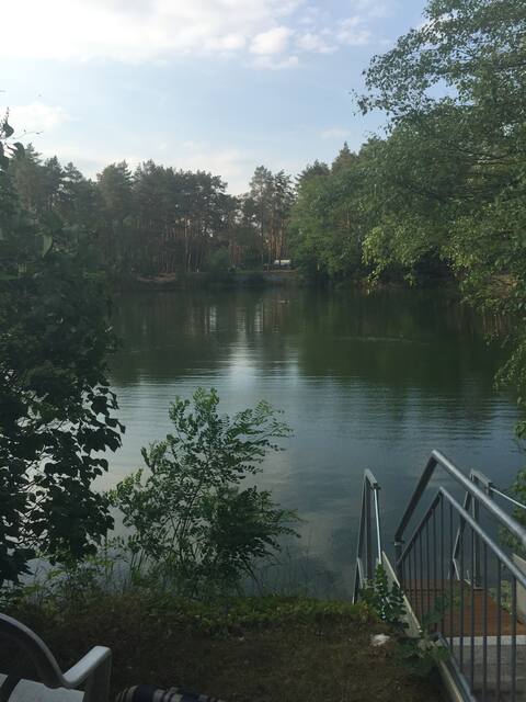 Summer bungalow in the forest on the lake, vacation with the dog