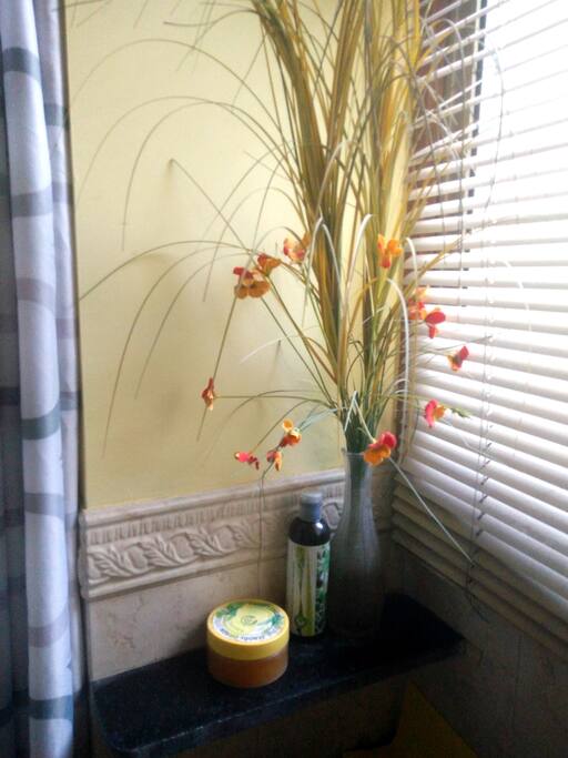 Guest Bathroom 2