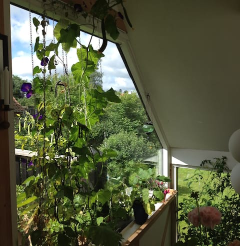 Green villa apartment with terrace
