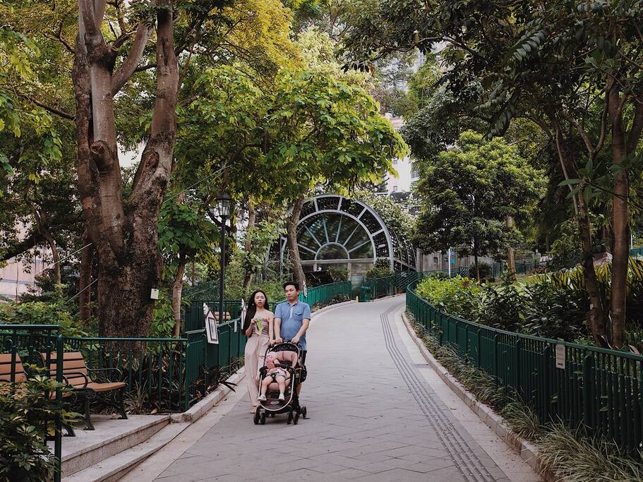 兵头花园 香港动植物公园 香港旅游攻略 尽在airbnb爱彼迎 兵头花园 香港动植物公园 香港旅游攻略 尽在airbnb爱彼迎