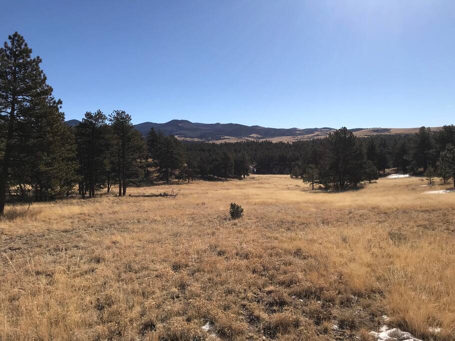 View out the back