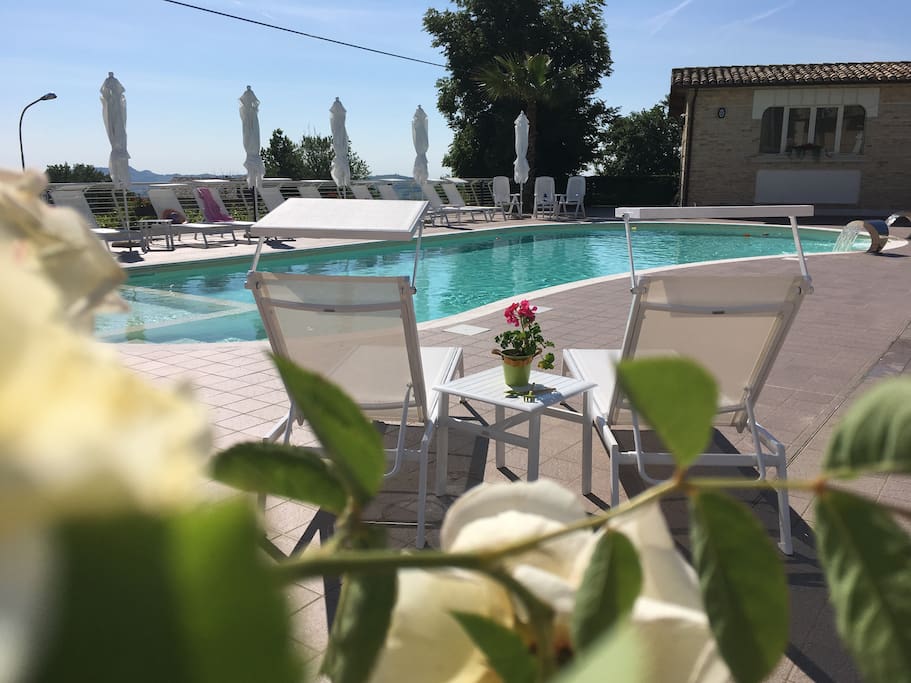 sunterrace and bar