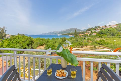 Successful Airbnb property: Jakica in Orašac
