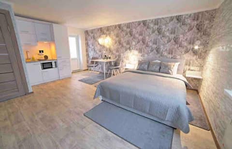 Cozy studio in Bila Tserkva (1)
