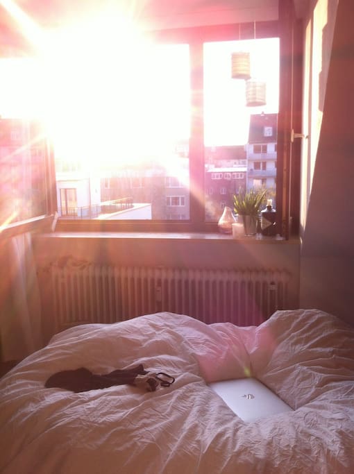 Abendsonne, Blick in den ruhigen Hinterhof