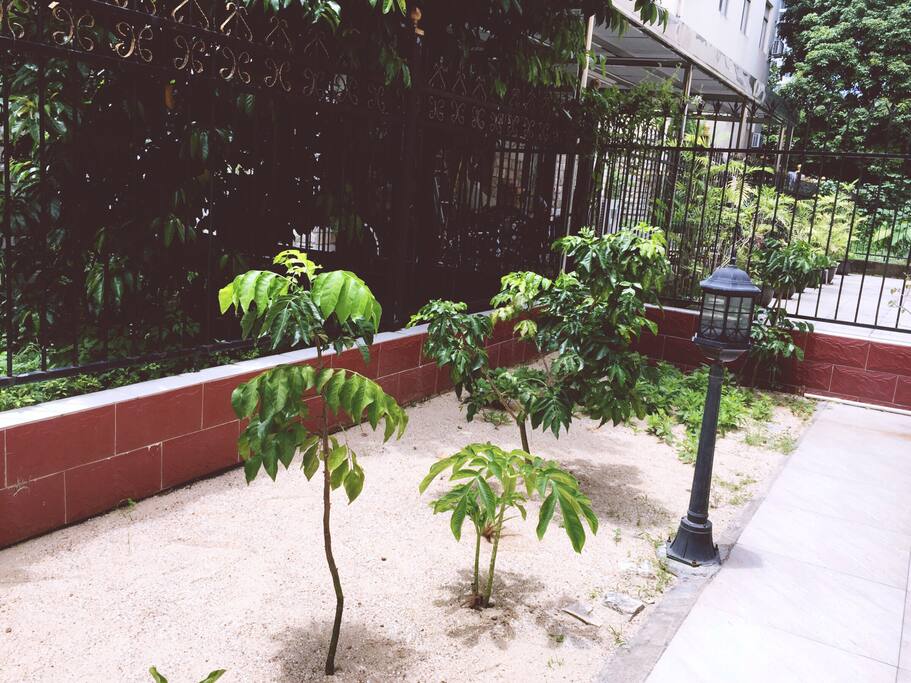后花园