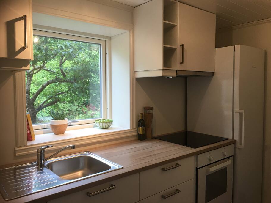 Dishwasher, stove, fridge