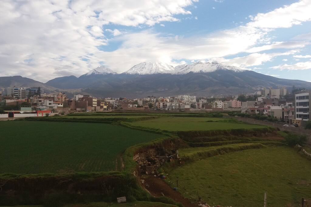 Vista a campos de cultivo