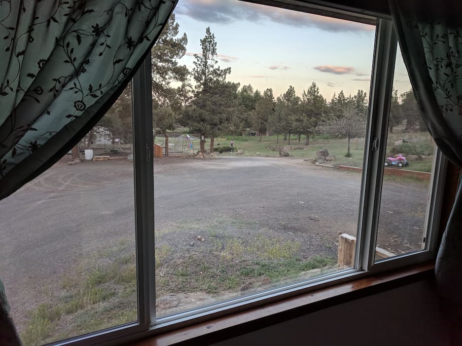 Window View